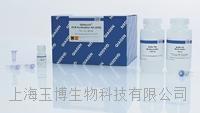 qiagen|QIAquick PCR Purification