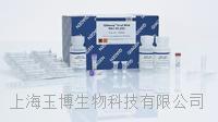 qiagen|QIAamp Viral RNA Mini Kit