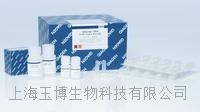 qiagen|56404|QIAamp DNA FFPE Tissue Kit 