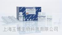 qiagen|69504|DNeasy Blood and Tissue Kit