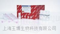 qiagen|RNeasy Mini Kit （250