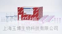 qiagen|RNeasy Plus Mini Kit250