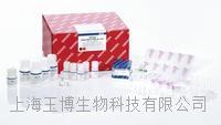 qiagen|AllPrep DNA/RNA FFPE Kit