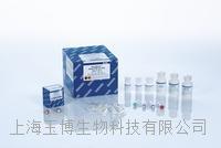 qiagen|GeneRead DNA FFPE Kit